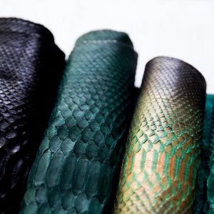 Tanned Iguana Leather